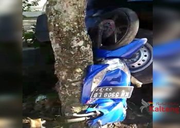Waduh... Baru Bisa Setir Mobil, Pria Ini Seruduk Wanita Pakai Sepeda Motor