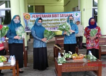 Istri Gubernur Kalteng Ajak Warga Manfaatkan Pekarangan Dengan Tanaman