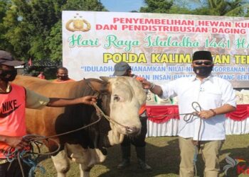 Hari Raya Idul Adha 2020, Polda Kalteng Sembelih hewan Qurban Dengan Protokol Kesehatan