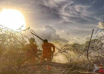 Intensitas Karhutla di Palangka Raya Mulai Tinggi, Masyarakat Harus Waspada