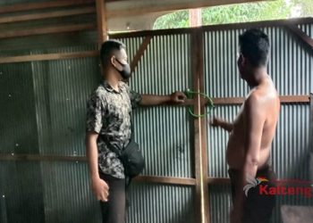 Pabrik Roti Libur,Pencuri Gondol Mobil dan Sepeda Motor