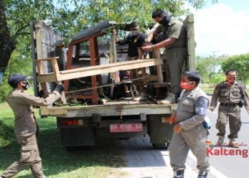 Satpol PP Tertibkan Pedagang Pinggir Jalan di Jalan Adonis Samad