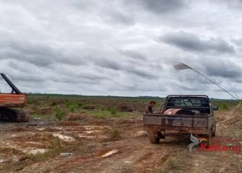 Pemkab Kotim : Tidak Ada Ijin Perusahaan Perkebunan di Desa Bukit Raya
