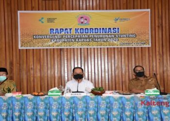 Pemkab Kapuas Lakukan Koordinasi Penurunan Angka Stunting