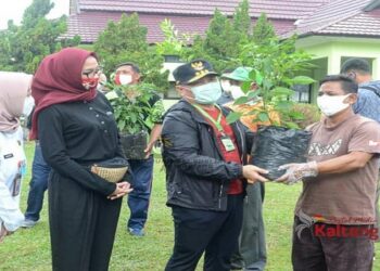 Gubernur Sugianto Bantu 25 Ribu Bibit Cabai Dan Jeruk Untuk Pertani