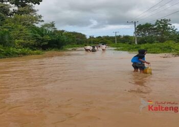 Akses Ke Kampung KB Desa Biru Maju Langganan Banjir