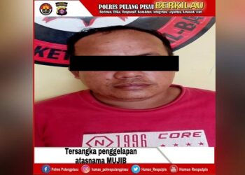 Gelapkan Mobil Pick Up Di Pulang Pisau, Pria Ini Tertangkap di Kalbar