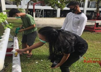 Mahasiswa Unkrip Di Tutut Berani Berinovasi Ditengah Pandemi Covid – 19
