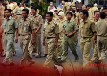 Enam formasi CPNS di Kabupaten Gumas Tidak Terisi