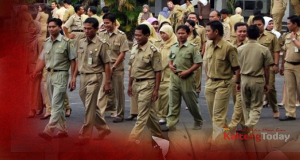 Enam formasi CPNS di Kabupaten Gumas Tidak Terisi