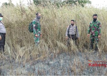 Satu Hektar Lahan Kosong Di Perbatasan Pematang Limau - Tanjung Rangas Terbakar