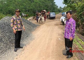 Ketua DPRD Tinjau Hasil Pembangunan di Pulang Pisau
