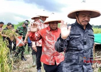 Pemkab Seruyan Rencanakan Akan Berlakukan Sistem Sewa Alsintan Ke Petani