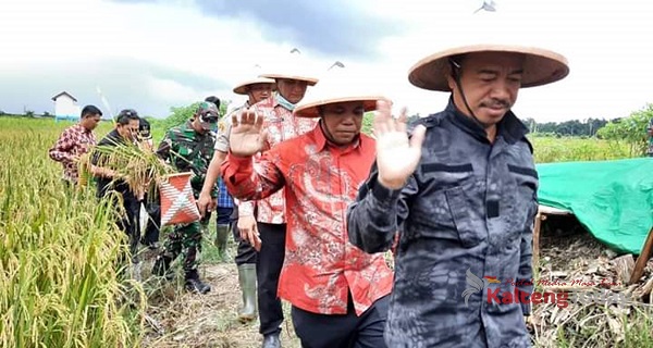 Pemkab Seruyan Rencanakan Akan Berlakukan Sistem Sewa Alsintan Ke Petani