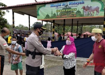 Polres Mura Kurban 5 Ekor Sapi dan 4 Ekor Kambing
