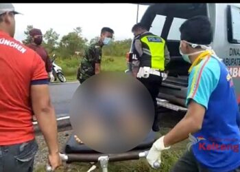 Ngebut Di Jalan Trans Kalimantan Saat Hujan, Mobil Pikap Terbalik Satu Penumpang Tewas