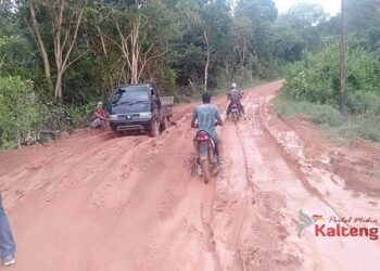 Legislator Ini Minta PBS Bantu Perbaikan Jalan Rusak di Kecamatan Mentaya Hulu
