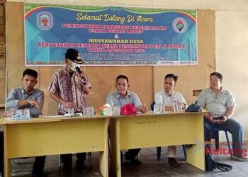 Peran BUMDes Menjadi Alternatif Tingkatkan Potensi Usaha Karet