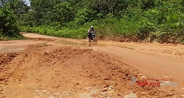 Jaringan Telekomunikasi di Kecamatan Rungan Hulu Belum Merata