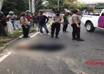 Orang Yang Tewas Tabrak Pohon Di Bawah Jembatan Kahayan Ternyata Warga Jalan Tjilik Riwut Km 9 Palangka Raya