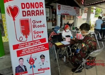 Karang Taruna Kalteng Gelar Donor Darah