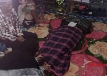 Disambar Petir Saat Beri Makan Ternak, Warga Murung Raya Tewas Seketika