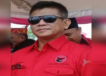 Willy M. Yoseph Siap Maju Atau Dukung Kader Diusung PDIP