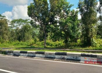 Diduga Ada ‘Mobil Bergoyang’ Di Kawasan Komplek Perkantoran