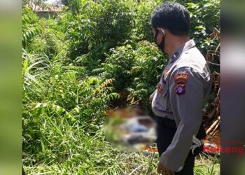 Warga Desa Jaya Kelapa Dihebohkan Dengan Penemuan Mayat