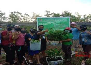 Bantu Ketahanan Pangan, Kelompok 06 KKN-T UPR Tanam Bibit Sayur Hingga Buah