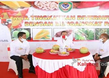 Bahas Diversifikasi Pangan, Bupati Seruyan Ikuti Video Conference Bersama Menteri Pertanian