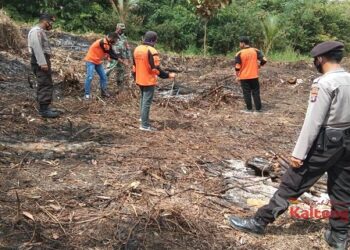Belasan Titik Hotspot Terpantau Di Kecamatan Seruyan Hulu