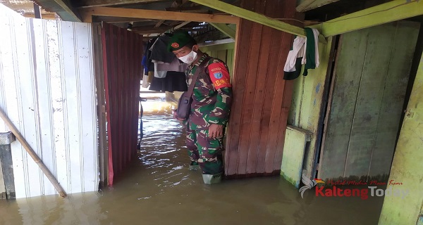 Banjir Juga  Rendam Wilayah Kabupaten Kotawaringin Timur