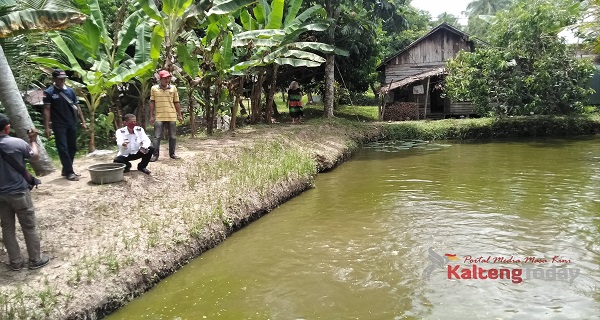 Kelurahan Panamas Dipersiapkan Jadi Icone Ikan Air Tawar