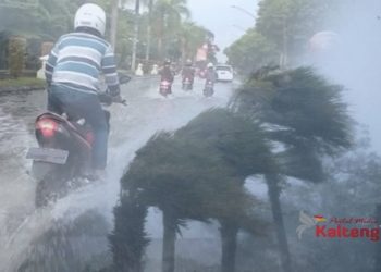 Sejumlah Jalan Protokol Palangka Raya Kebanjiran Dan Pohon Tumbang
