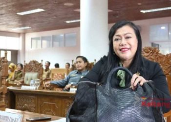 Legislator ini Nyatakan Siap Kampanyekan Petahana