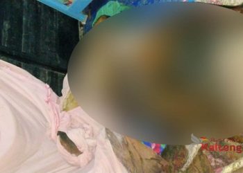 Warga Digegerkan Dengan Penemuan Mayat di Kecamatan Telaga Antang