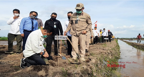 Mentan Lihat Hasil Olah Lahan Gunakan Alsintan Modern di Pulang Pisau