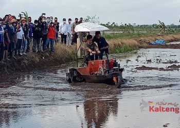 Matangkan Persiapan Kunjungan Presiden RI, Mentan Tinjau Lokasi Food Estate di Desa Belanti Siam