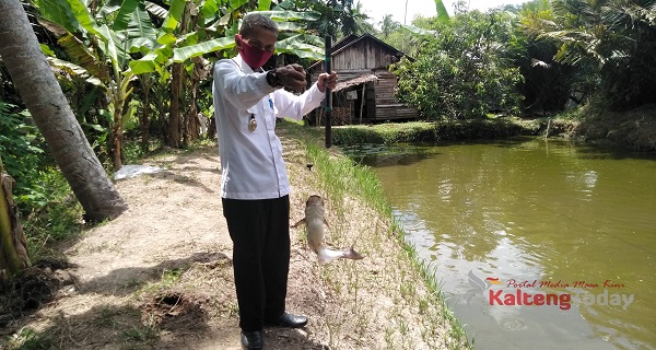 Kelurahan Panamas Dipersiapkan Jadi Icone Ikan Air Tawar