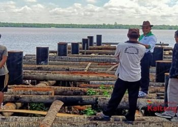 Dinas Perikanan Kotim Ingin Wujudkan Perikanan Tangguh