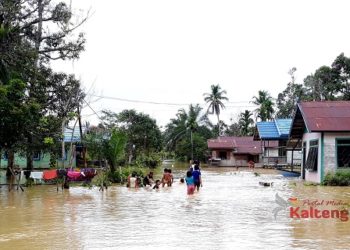 Seribu Rumah di Kabupaten Gumas Terdampak Banjir