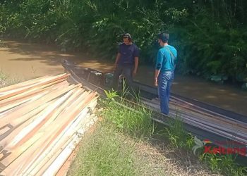 Polisi Tangkap Pelaku Ilegal Loging di Kabupaten Kapuas