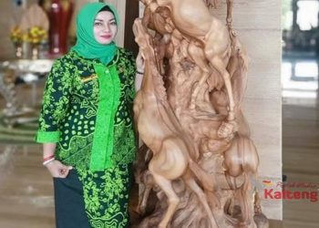 Dewan Inginkan Eksekutif Perhatikan Daerah Pulau Hanaut