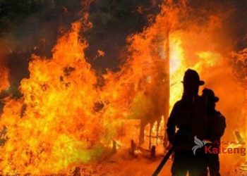 Si Jago Merah Lahap Lima Rumah di Goha Pulang Pisau, Kerugian Capai Rp. 1,2 Miliar