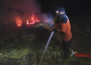 Jelang Pilkada ASN Kabupaten Kapuas Harus Bijak Gunakan Medsos