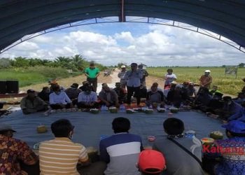 Wilayah Selatan Kotim Dikenal Dengan Lumbung Padi