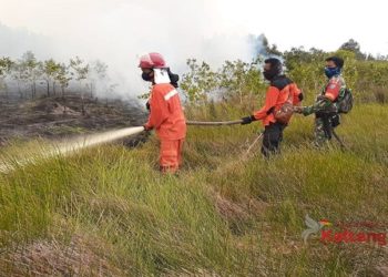 Karhutla di Kapuas Murung Akibatkan Lahan Seluas 845 Ha Terbakar