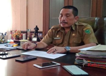Program Pemulihan Ekonomi di Pulang Pisau Dimulai