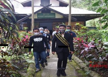Staf Khusus Milenial Presiden Lihat Pusat Rehabilitasi Orangutan Nyaru Menteng